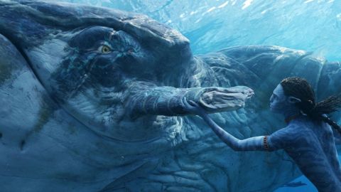 Avatar 3 coinvolgerà una creatura del precedente film e avrà un ruolo importante