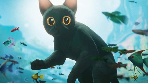 Flow, un crowdfunding per l'edizione Ultra HD 4K più Blu-ray... e c'è anche Away, l'opera precedente dell'autore