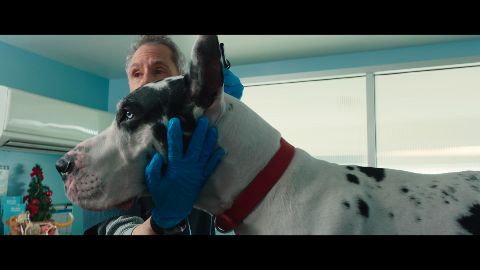 Bill Murray, Naomi Watts e un alano nel trailer di L'amico fedele