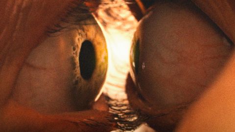 Together, il trailer ufficiale dell'acclamato horror con Alison Brie e Dave Franco