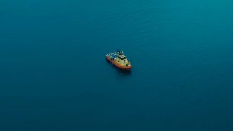 Dangerous Animals: il trailer ufficiale dello shark movie (con serial killer) di Sean Byrne