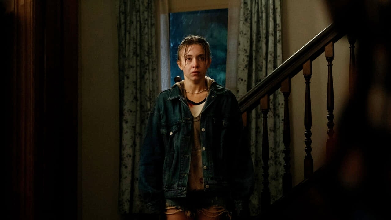Echo Valley da Comingsoon.it echo valley il trailer italiano del thriller con sydney sweeney e julianne moore