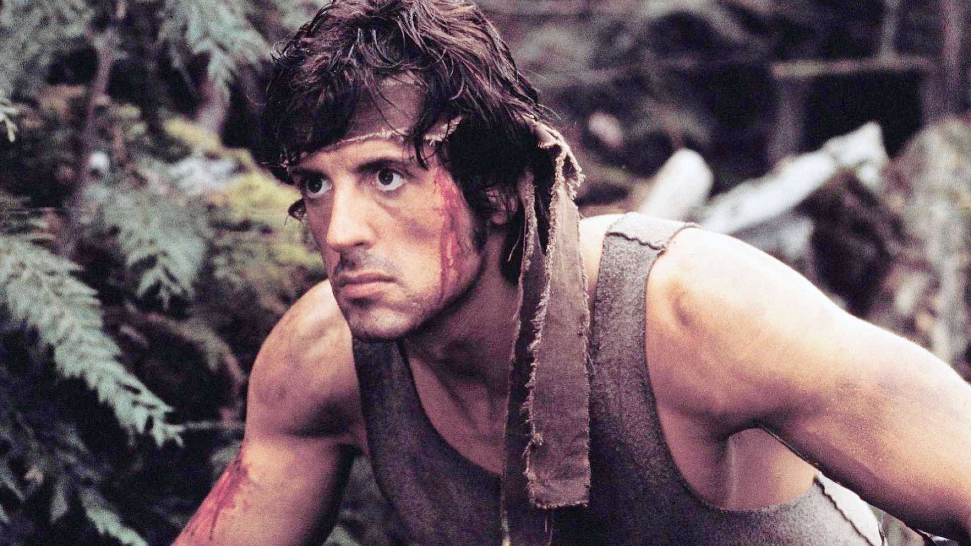 Rambo, in arrivo un prequel ambientato nel Vietnam, scelto il regista Rambo, in arrivo un prequel ambientato nel Vietnam, scelto il regista