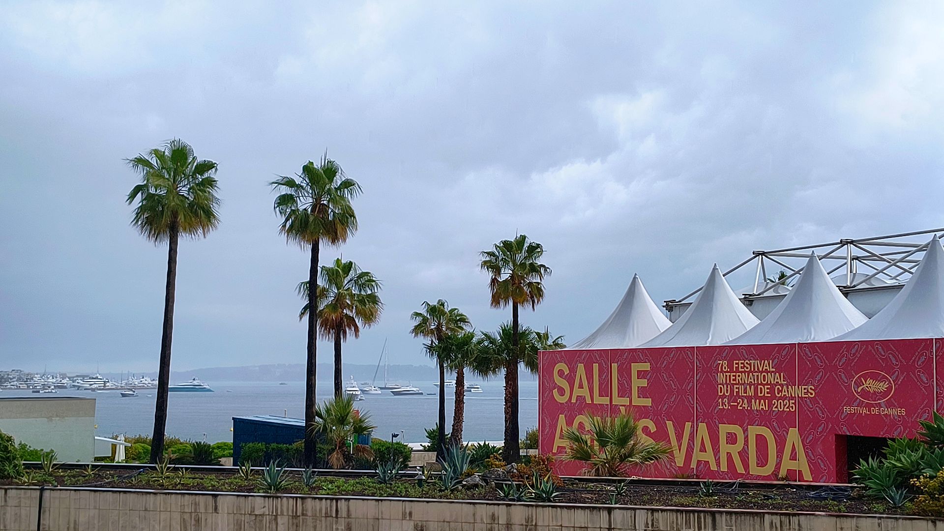 festival di cannes 2025 desideri e previsioni per la palma d oro la nostra pagella completa dei film in concorso