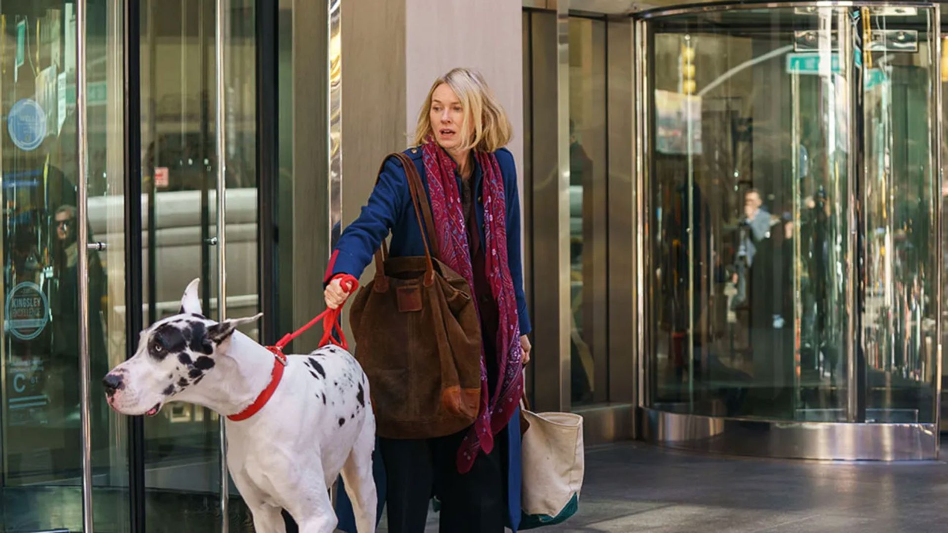 l amico fedele una scena in anteprima esclusiva dal film con naomi watts e bill murray da Comingsoon.it l amico fedele una scena in anteprima esclusiva dal film con naomi watts e bill murray