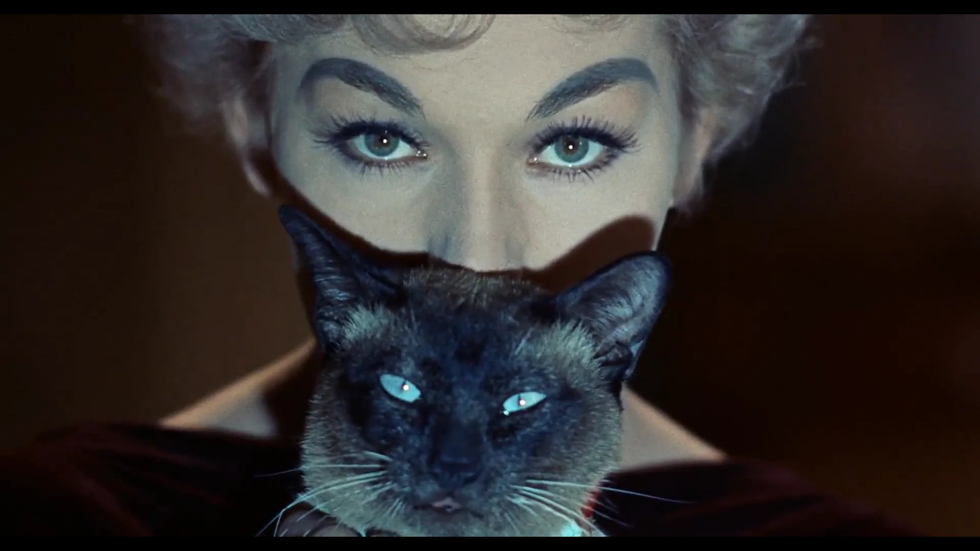 Kim Novak Leone d Kim Novak Leone d