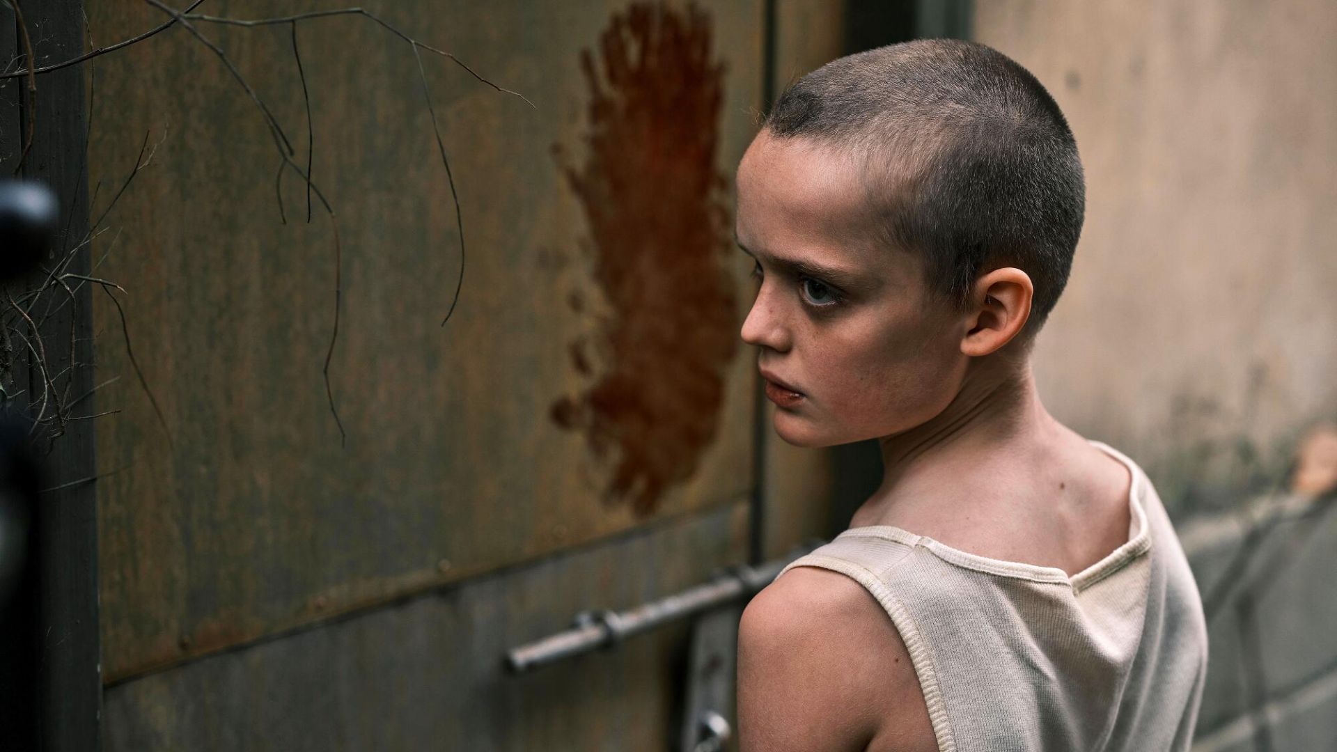 bring her back torna da me nuovo trailer italiano e nuova data di uscita per l atteso film horror