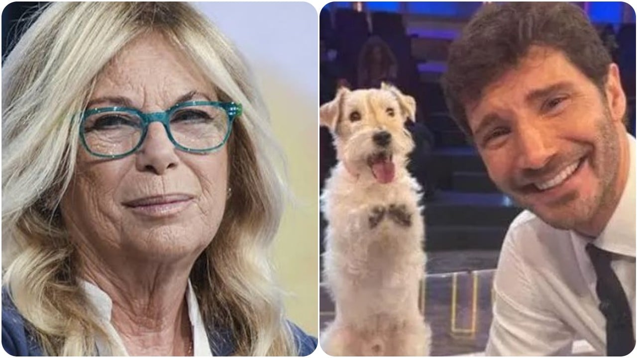 rita dalla chiesa contro affari tuoi per il cane gennarino inaccettabile rispettate la sua dignit224