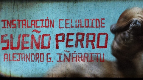 Sueño Perro, A Film Installation by Alejandro G. Iñárritu: una mostra per i 25 anni di Amores Perros con immagini inedite