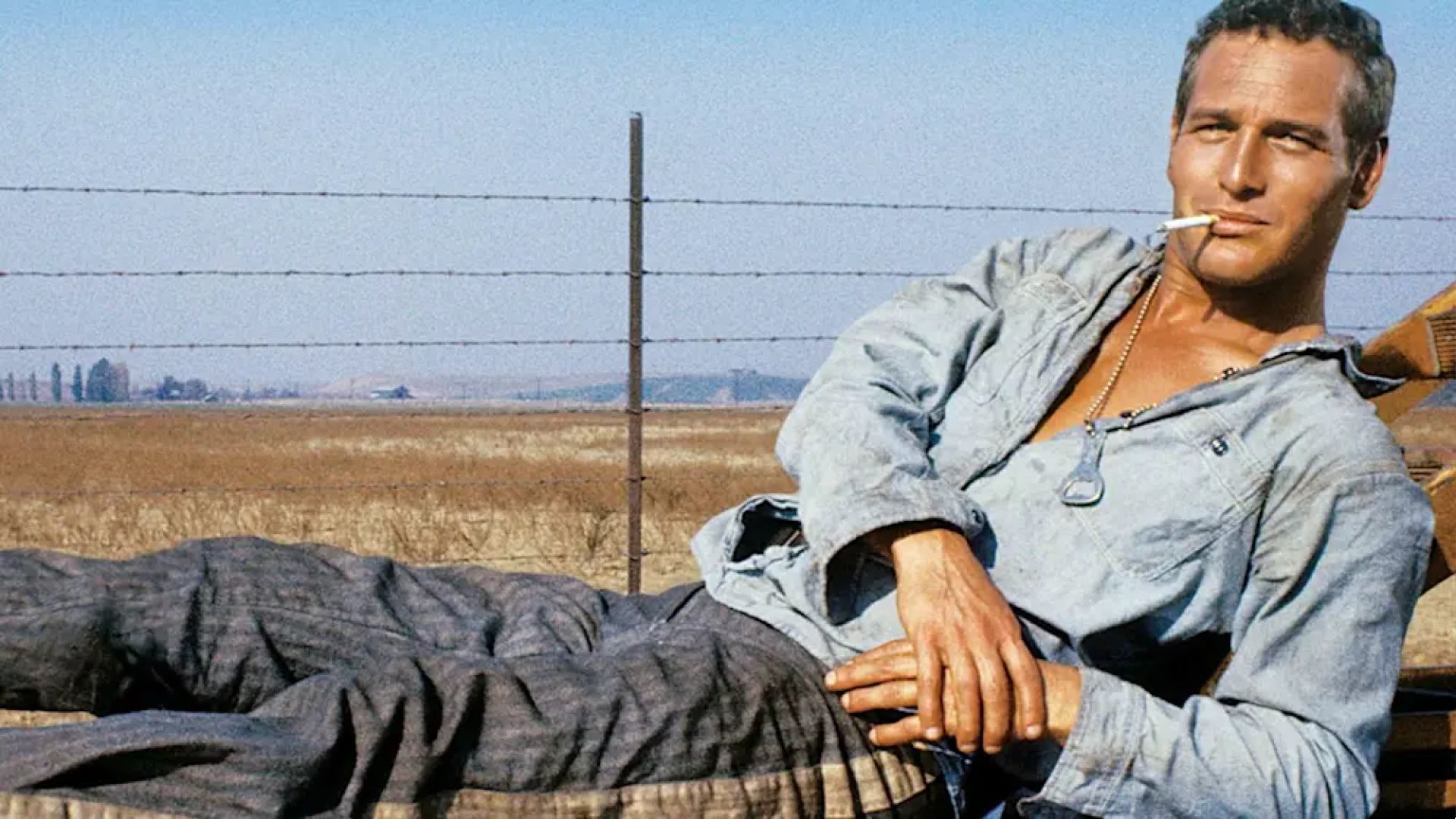paul newman a torino il prossimo tff dedica a lui poster e retrospettiva