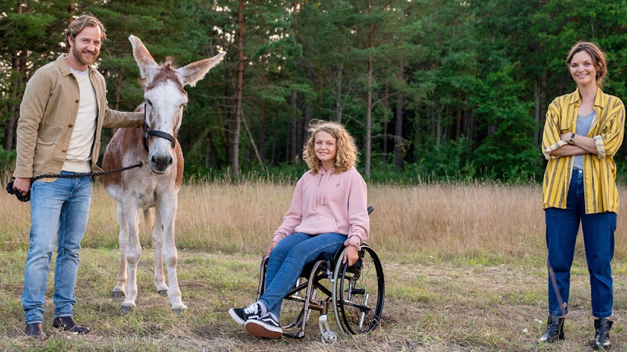 Inga Lindstrom   Sven, Amore Mio: ecco la trama del Film TV in onda sabato 2 agosto 2025 dopo Beautiful e Viola come il Mare