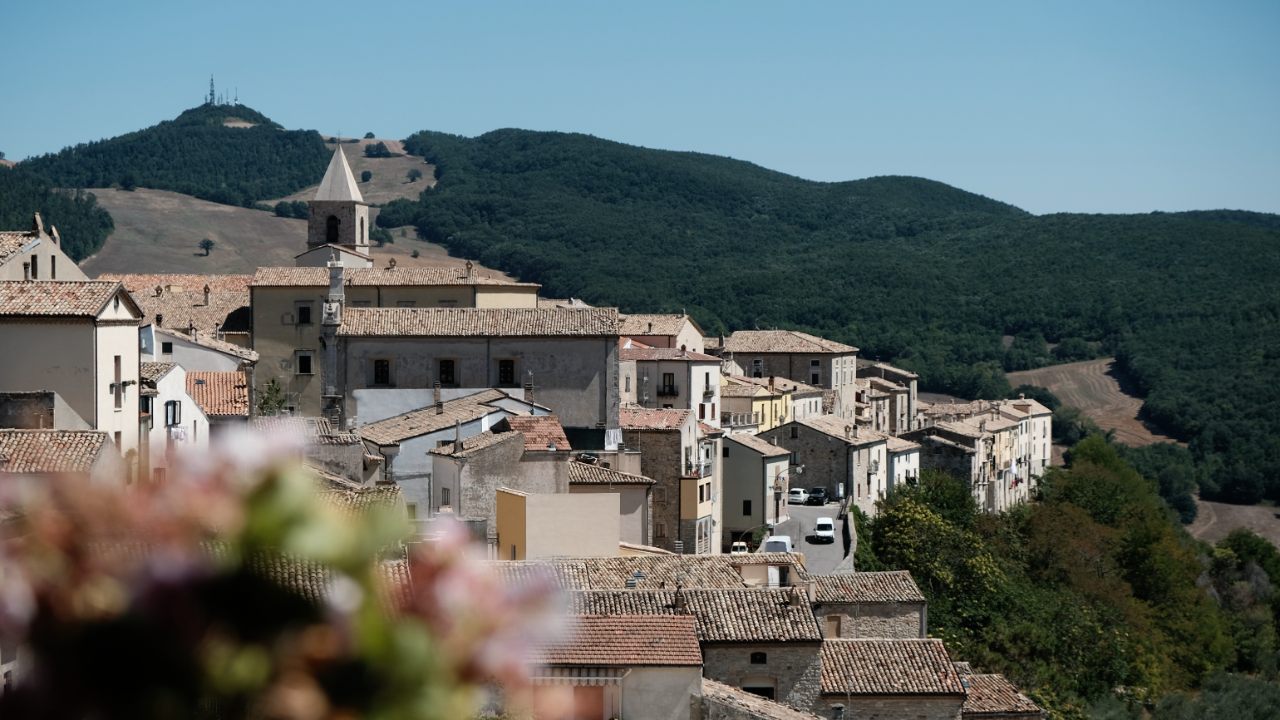 molisecinema dal 5 al 10 agosto la 23esima edizione del festival gli ospiti e gli eventi