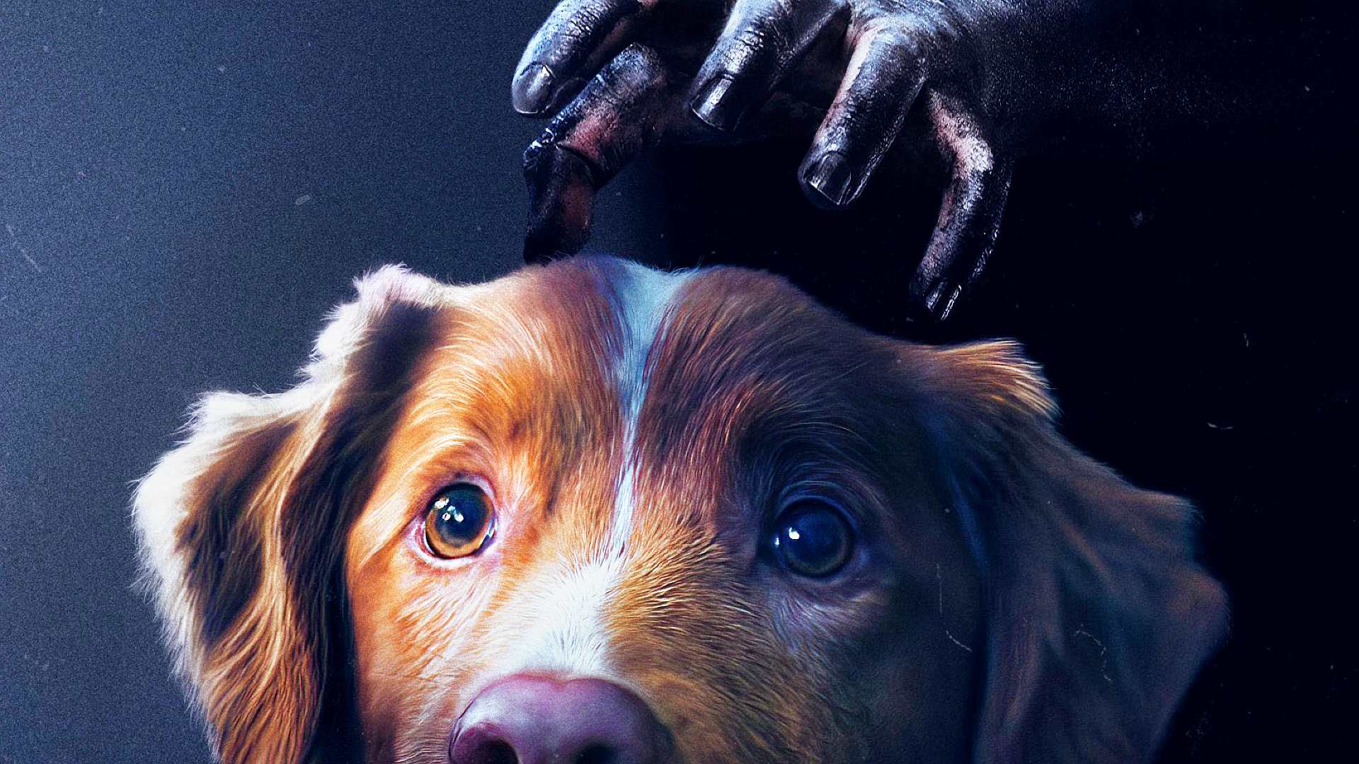Good Boy, il nuovo poster dell