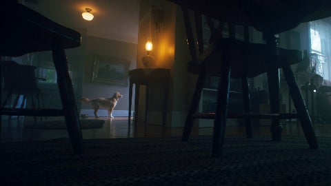 good boy la recensione una storia di fantasmi e d amore con un protagonista incredibile
