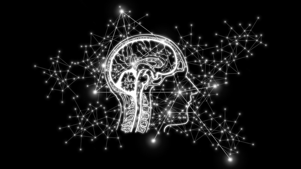 I Film che vedremo al Cinema e in Streaming? Li decide l I Film che vedremo al Cinema e in Streaming? Li decide l