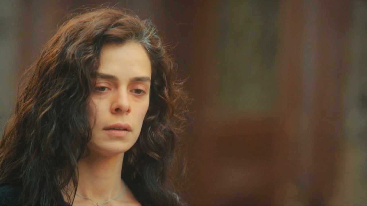 La forza di una donna Anticipazioni 3 novembre 2025: Bahar e Sarp convivono, la tensione è palpabile... La forza di una donna Anticipazioni 3 novembre 2025: Bahar e Sarp convivono, la tensione è palpabile...