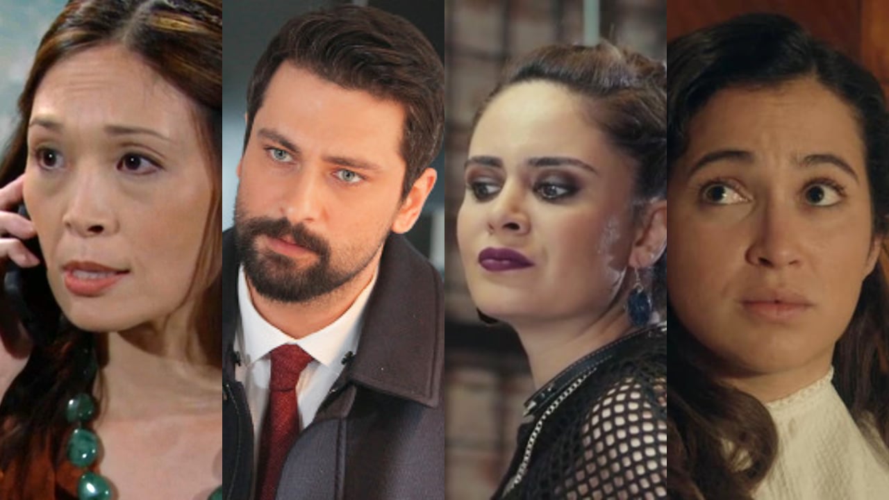 Beautiful, Forbidden Fruit, La forza di una donna e La Promessa Anticipazioni: Puntate di oggi 18 novembre 2025