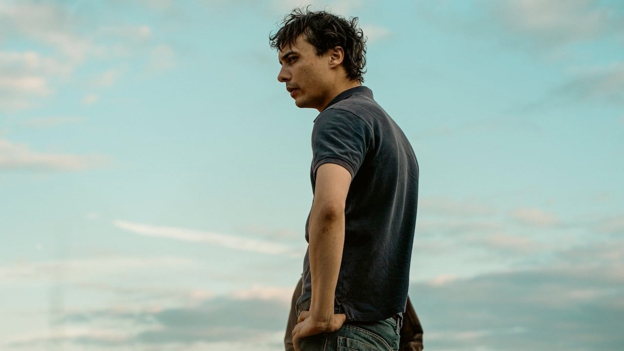 giornate di cinema i prossimi film wanted cinema da willie peyote elegia sabauda a urchin da Comingsoon.it giornate di cinema i prossimi film wanted cinema da willie peyote elegia sabauda a urchin