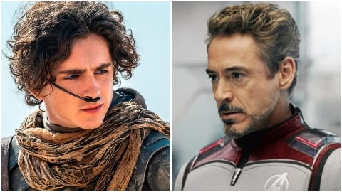 Dunesday è la nuova speranza di Robert Downey Junior e Timothée Chalamet e potrebbe essere il nuovo Barbenheimer