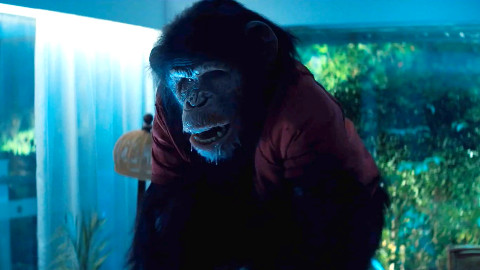 Ben - Rabbia animale, la recensione: un b-movie brutale orgoglioso di esserlo.