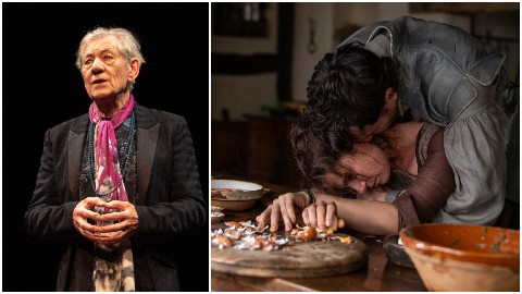 Ian McKellen perplesso da Hamnet: "è inverosimile"