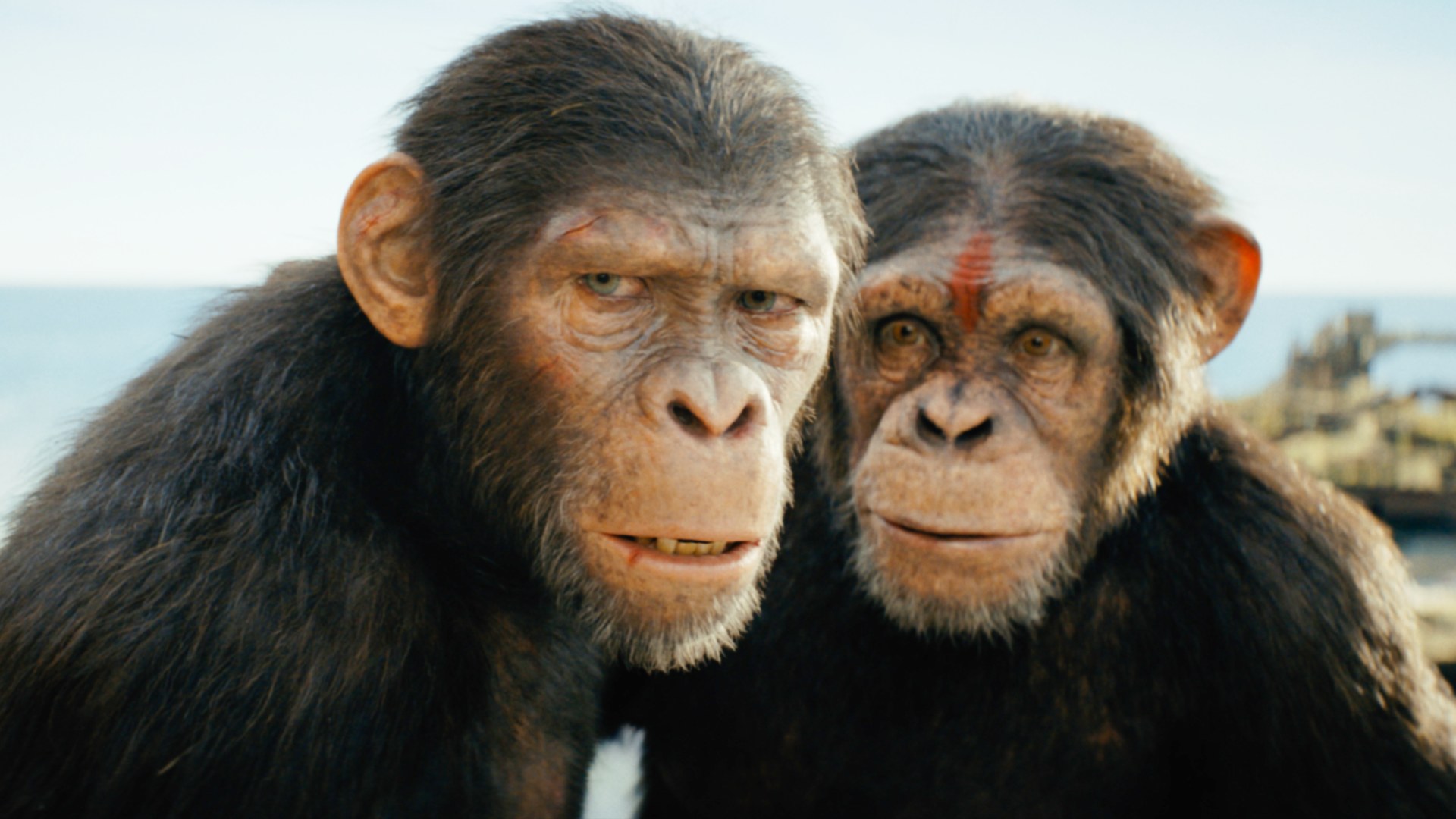 Il Pianeta delle Scimmie, nuovo film in arrivo, scelti regista e ...
