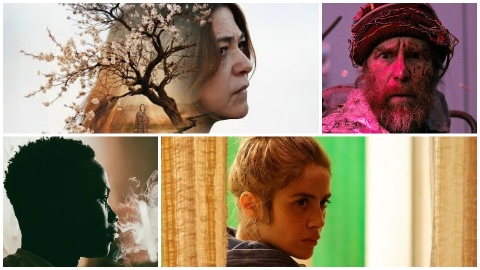 I premi del Taormina Film Festival 2026: vincono Hear the Yellow, Greta Scarano, Good Luck, Have Fun, Don't Die