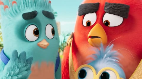 Angry Birds 3 - Terremoto in famiglia, ecco il primo trailer italiano ufficiale del film d'animazione