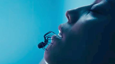 Paura dei ragni? Non guardate per nessun motivo questo trailer (però c'è Matilda Lutz)