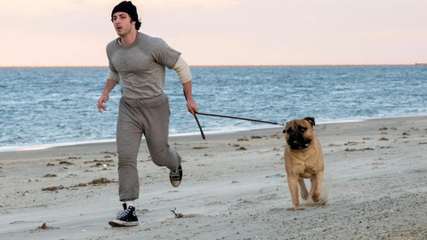 I Play Rocky ha fatto impazzire tutti: standing ovation durante la première per il nuovo Sylvester Stallone