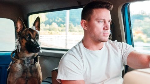 Channing Tatum e il mistero del finto account Instagram: la verità, una volta per tutte