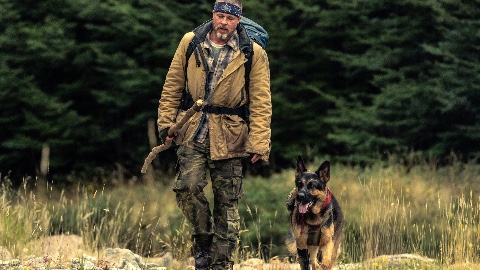 Heart of the Beast, l'amore di un cane: la recensione del film con Brad Pitt
