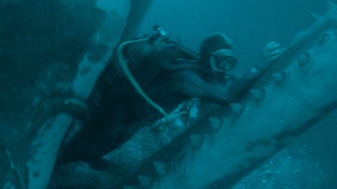 Whalefall: di balene, padri e figli, lutti da elaborare. La recensione del film.