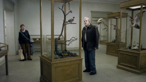 Un piccione seduto sul ramo riflette sull'esistenza - recensione del film di Roy Andersson