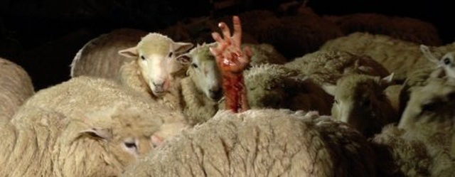 Black Sheep - recensione dell'horror ovino targato New Zealand