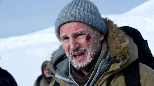 Stasera in TV: The Grey con Liam Neeson su Rai Tre