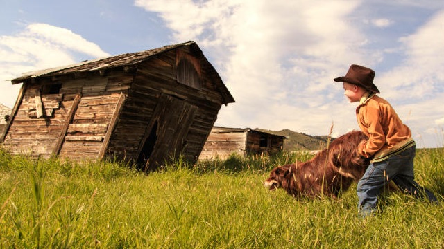 Lo straordinario viaggio di T.S. Spivet: Jean Pierre Jeunet fra 3D e grandi spazi americani