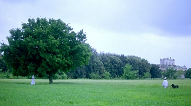 Pulcinella in viaggio per l'Italia Bella e perduta a Locarno 2015