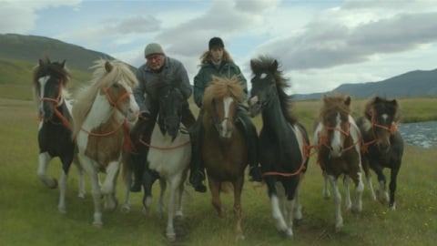 Storie di cavalli e di uomini - recensione del film islandese