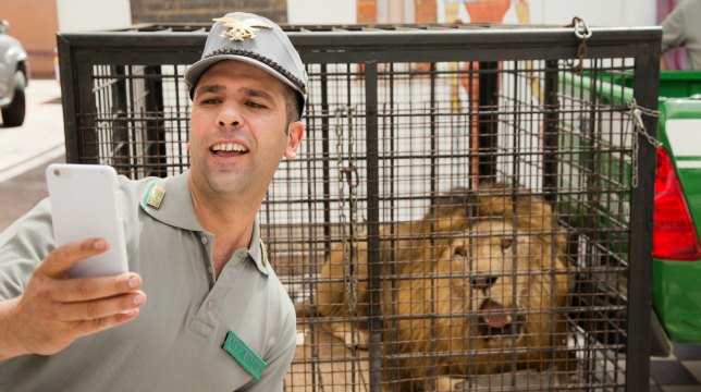 Quo Vado?, la recensione del film di Checco Zalone e Gennaro Nunziante