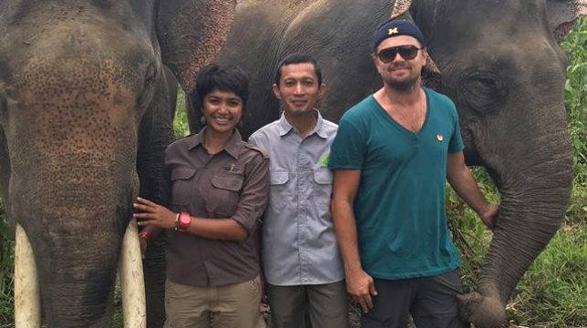Leonardo DiCaprio dona 15 milioni di dollari per combattere il cambiamento climatico