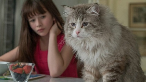 Una vita da gatto - la recensione del film con Kevin Spacey