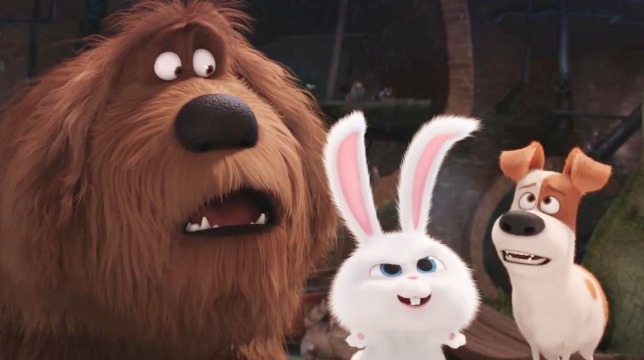 Pets in Blu-ray e 4K dal 1° febbraio: cani e risate