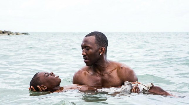 Moonlight e Arrival vincono i premi della Writers Guild of America