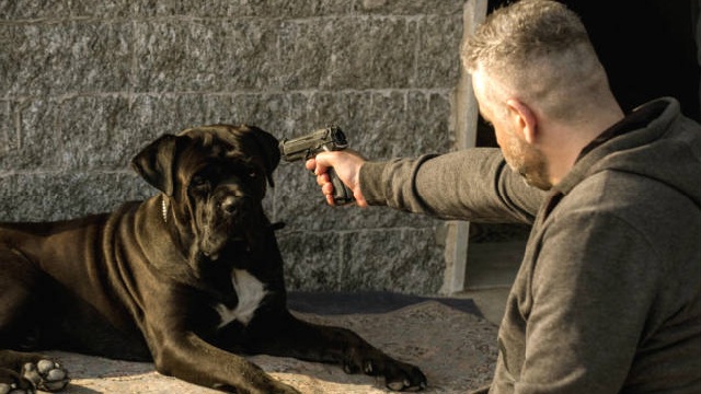 Falchi: una clip esclusiva del film con Fortunato Cerlino, Michele Riondino e Pippo Delbono