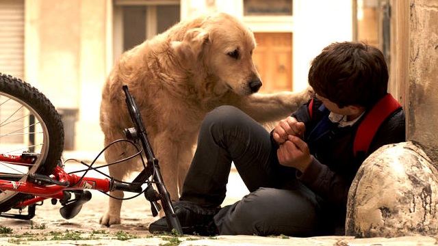 Stasera in TV: i Film di oggi Venerdì 21 Aprile