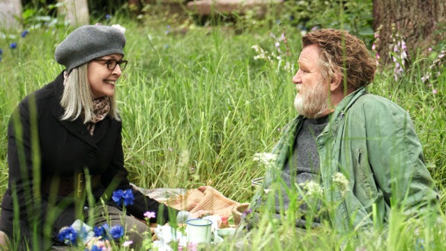 Appuntamento al parco: in anteprima il poster italiano della commedia romantica con Diane Keaton e Brendan Gleeson