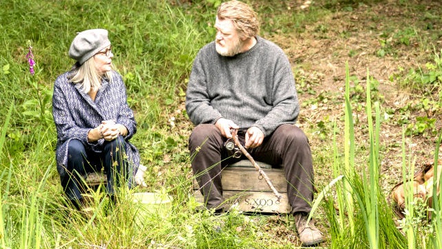 Appuntamento al parco: Diane Keaton e Brendan Gleeson nel trailer italiano del film
