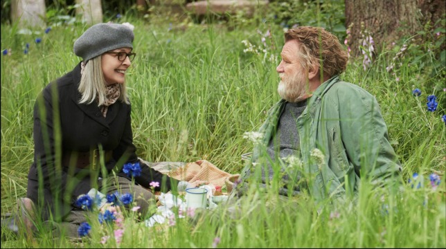 Appuntamento al parco: recensione della commedia romantica con Diane Keaton e Brendan Gleeson