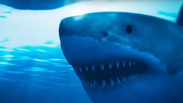 Deep Blue Sea 2: tornano gli squali assassini nel trailer del film